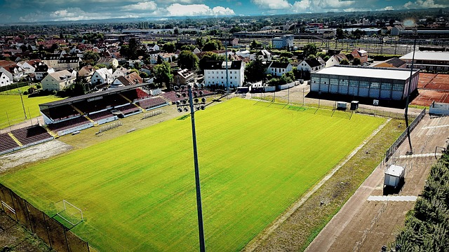 在这个激动 在这个激动