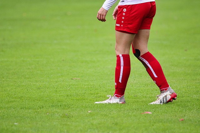 我们将探讨 我们将探讨