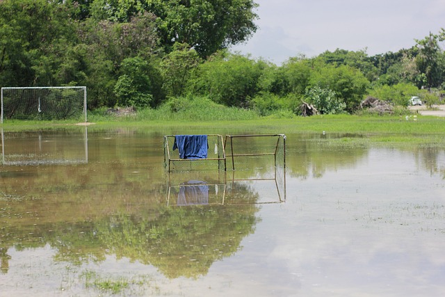 度的队伍 度的队伍