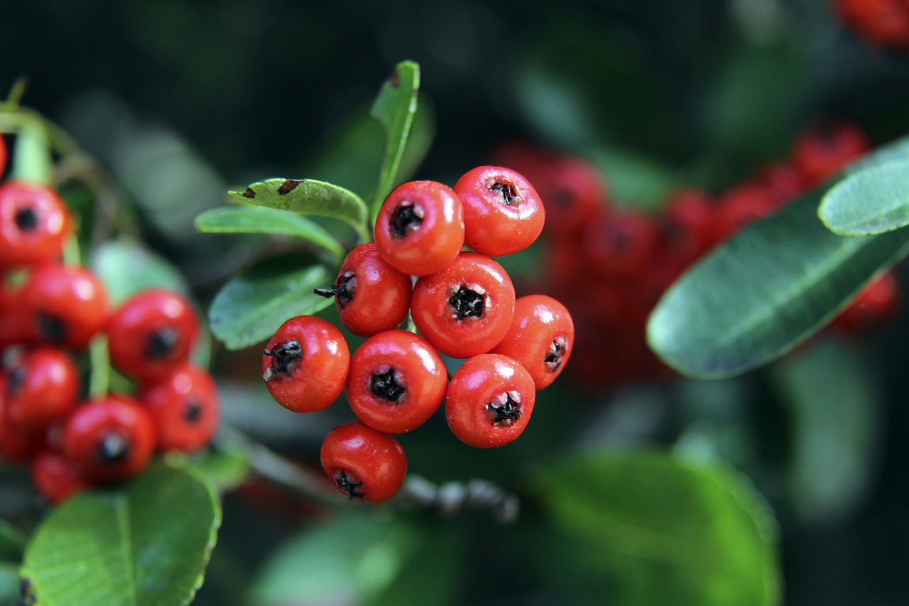 更加关注 更加关注