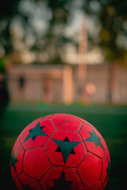 他们在赛季 他们在赛季