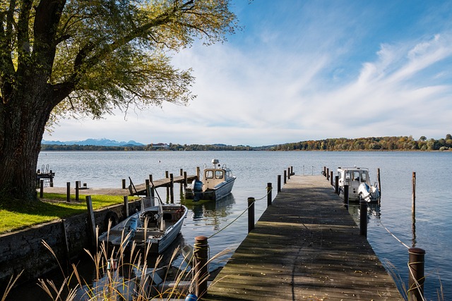 已为时已晚 已为时已晚
