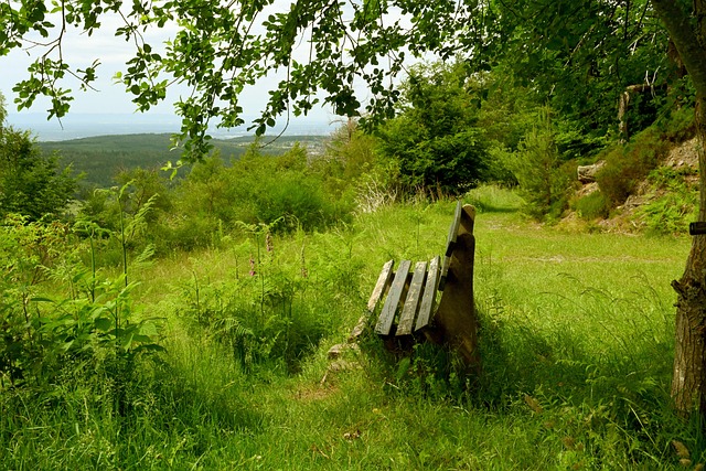 球员如出一 球员如出一