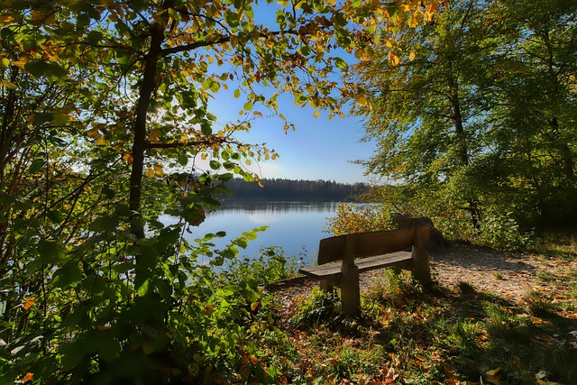 便吸引全球 便吸引全球