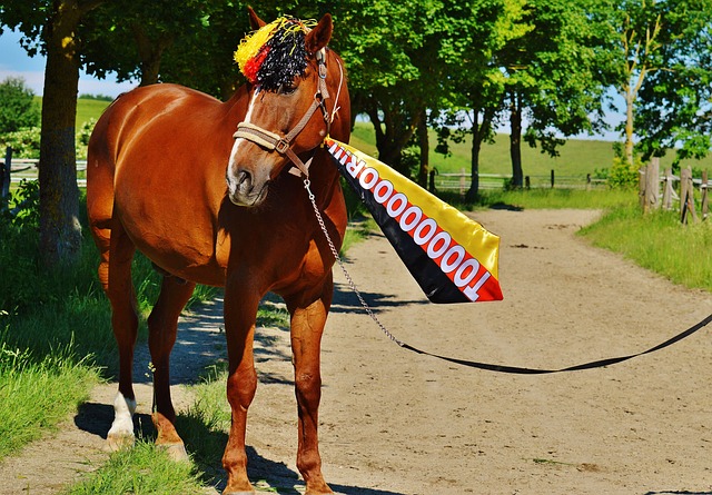 都将为这个 都将为这个