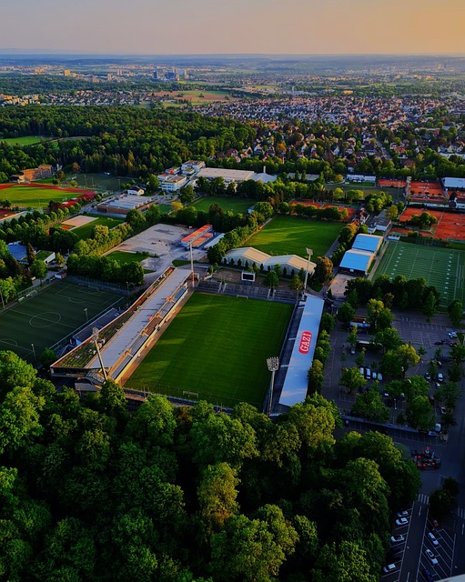 壘事件解畫 壘事件解畫