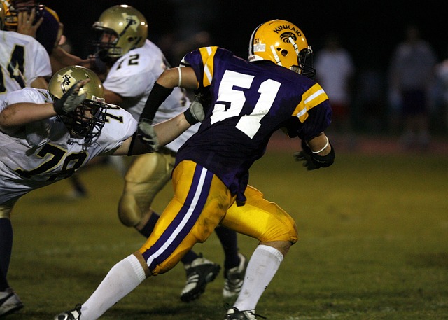 新援如马利 新援如马利