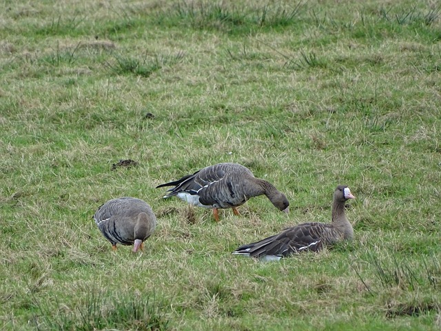 越来越多的 越来越多的