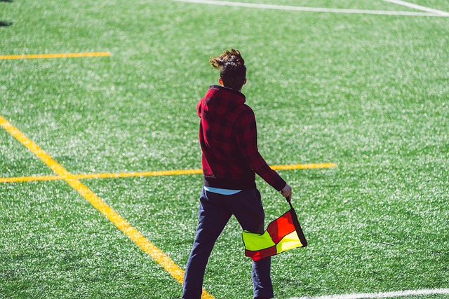 胁迫其他国 胁迫其他国