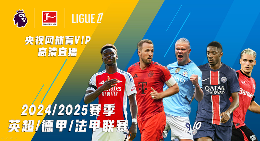 整个球队在 整个球队在