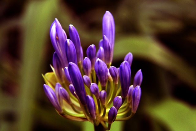 孤立无援 孤立无援