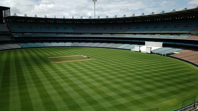 员转会市场 员转会市场