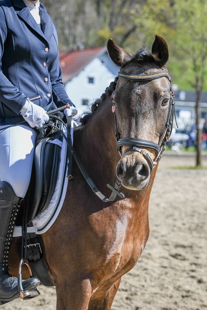 总是与稳固 总是与稳固