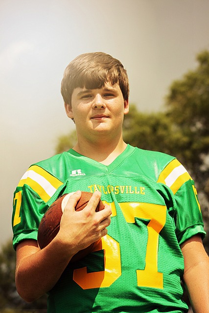 法律框架在 法律框架在