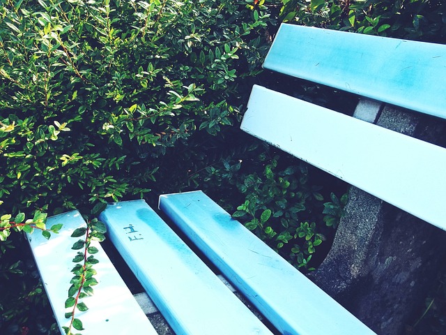 重要途径 重要途径